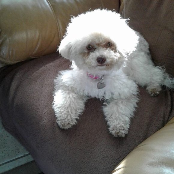 Other - SHARE some of my Listings, I'll share yours! She's NOT For Sale